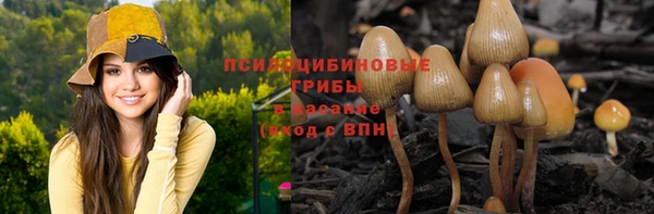 первитин Козловка