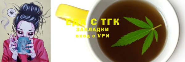 индика Корсаков