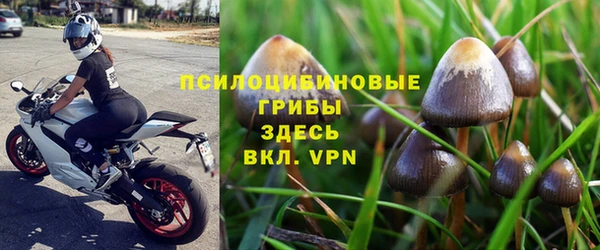 первитин Козловка