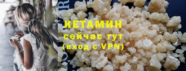 индика Корсаков