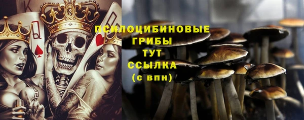 первитин Козловка