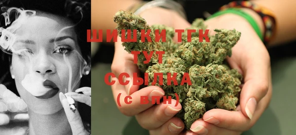индика Корсаков