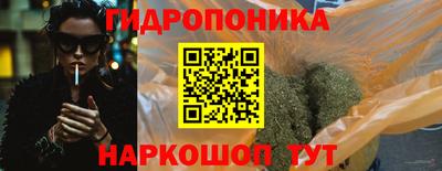стафф Гусев